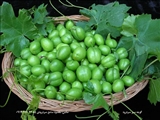 اولین جلسه هم اندیشی جشنواره گوجه سبز برگزار گردید.