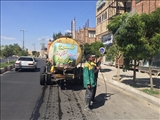 آغاز عملیات شست و شوی درختان