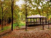 پاییز خزان در شهر سردرود