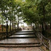 پاییز خزان در شهر سردرود