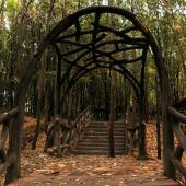 پاییز خزان در شهر سردرود